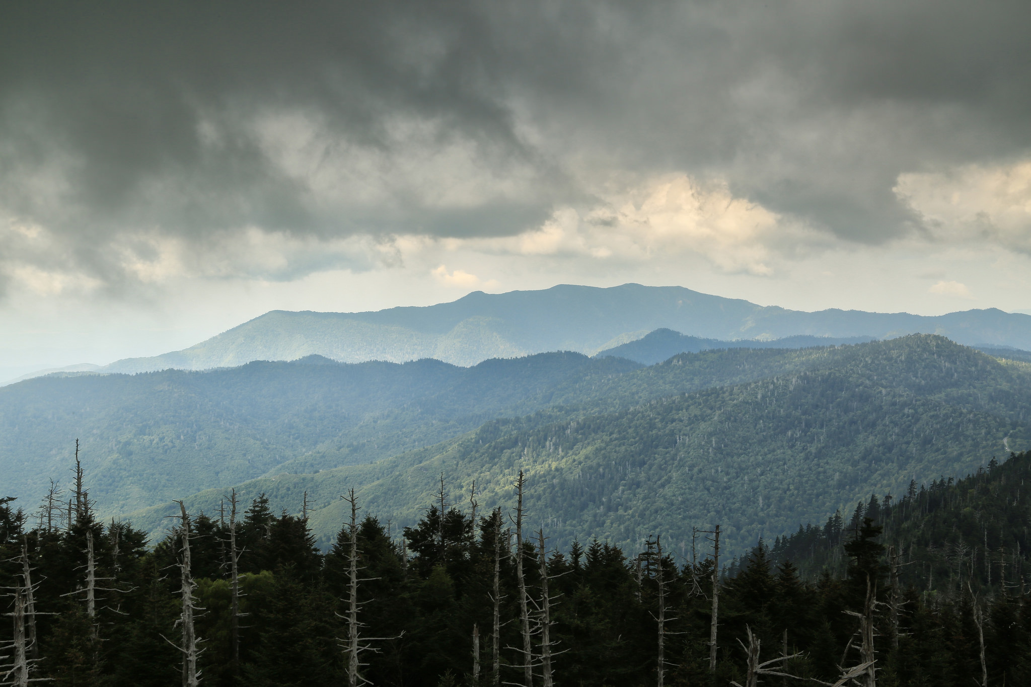 Clingmans Dome observation tower at the highest point in Tennessee
